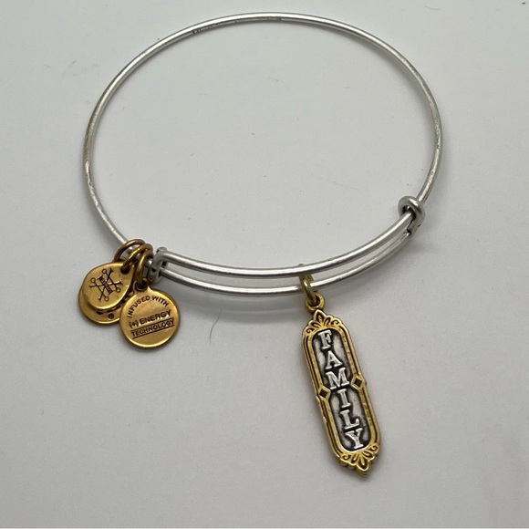 Alex and Ani Family Tree Bracelet Stack - Picture 3 of 6